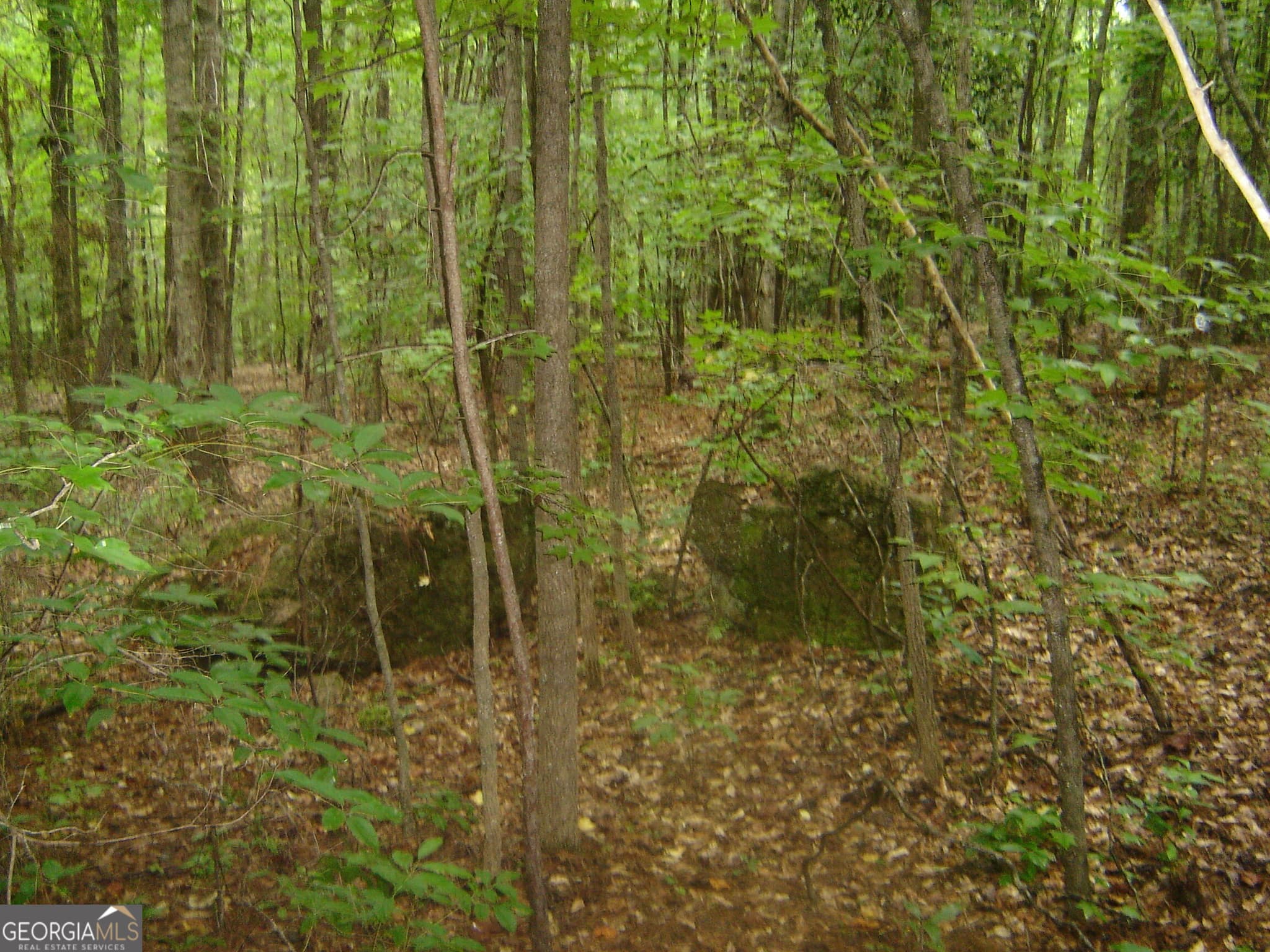 estate lot for sale at 0 Covington Way, Lanett, AL 36863 — photo 10