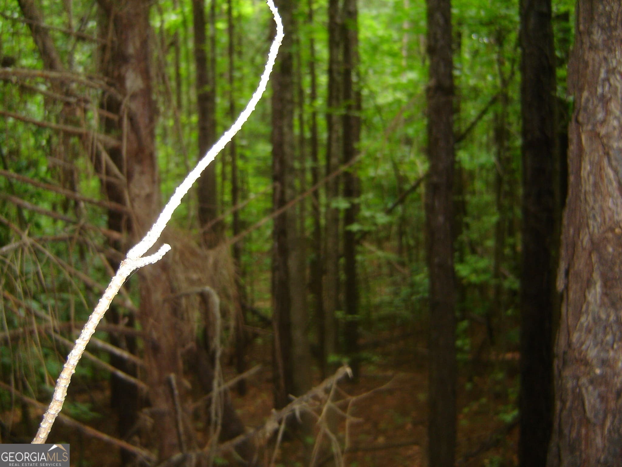 estate lot for sale at 0 Covington Way, Lanett, AL 36863 — photo 8