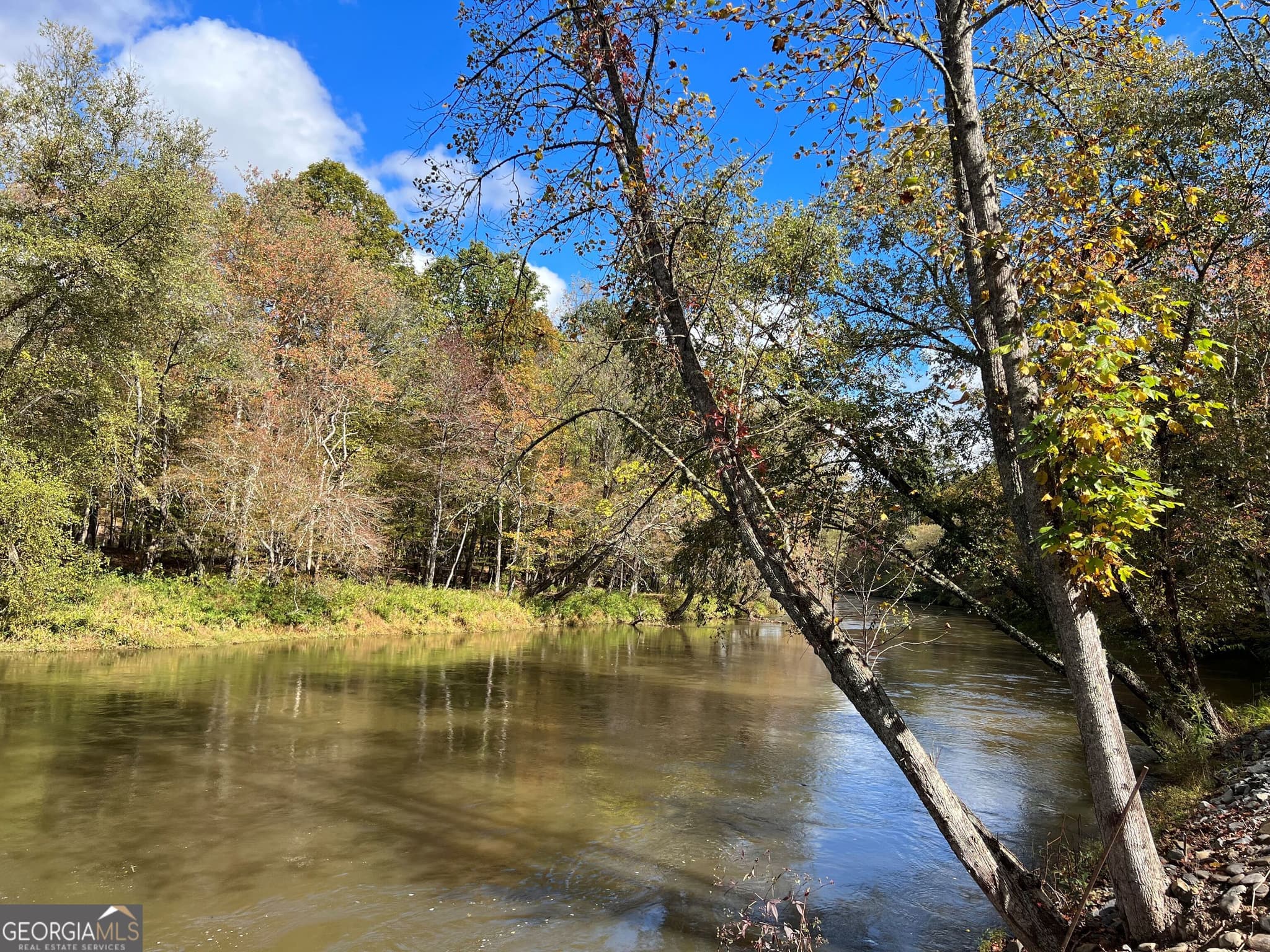 residential lot for sale at 0 Cross Creek Road, Mineral Bluff, GA 30559 — photo 6