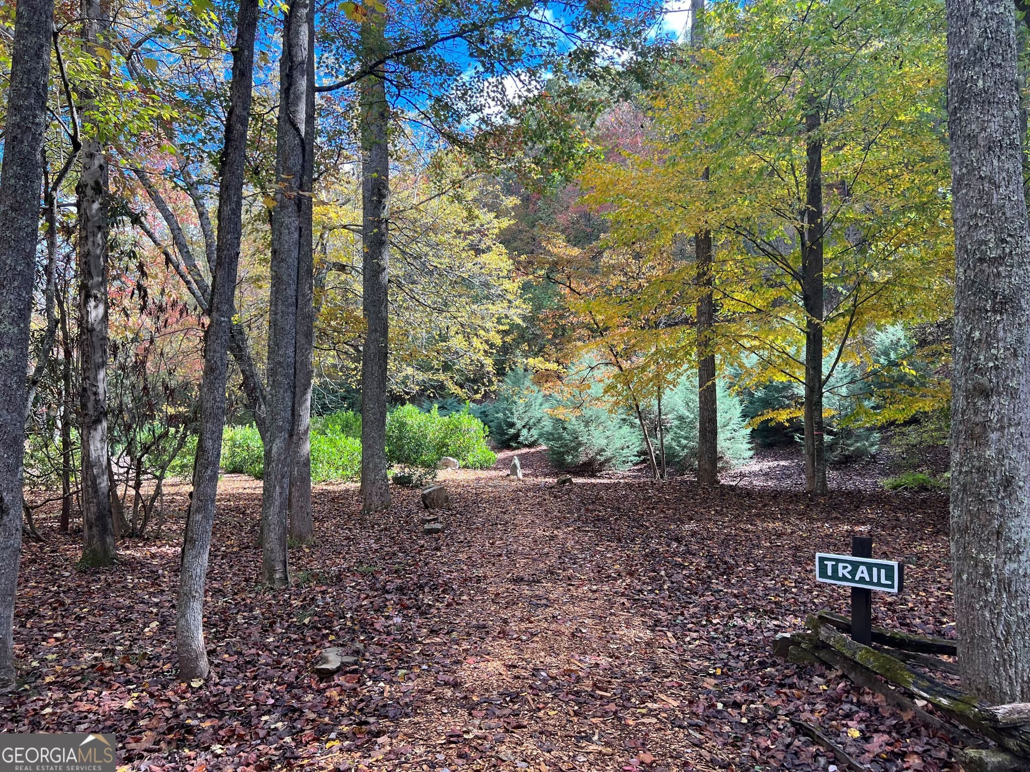 residential lot for sale at 0 Cross Creek Road, Mineral Bluff, GA 30559 — photo 5