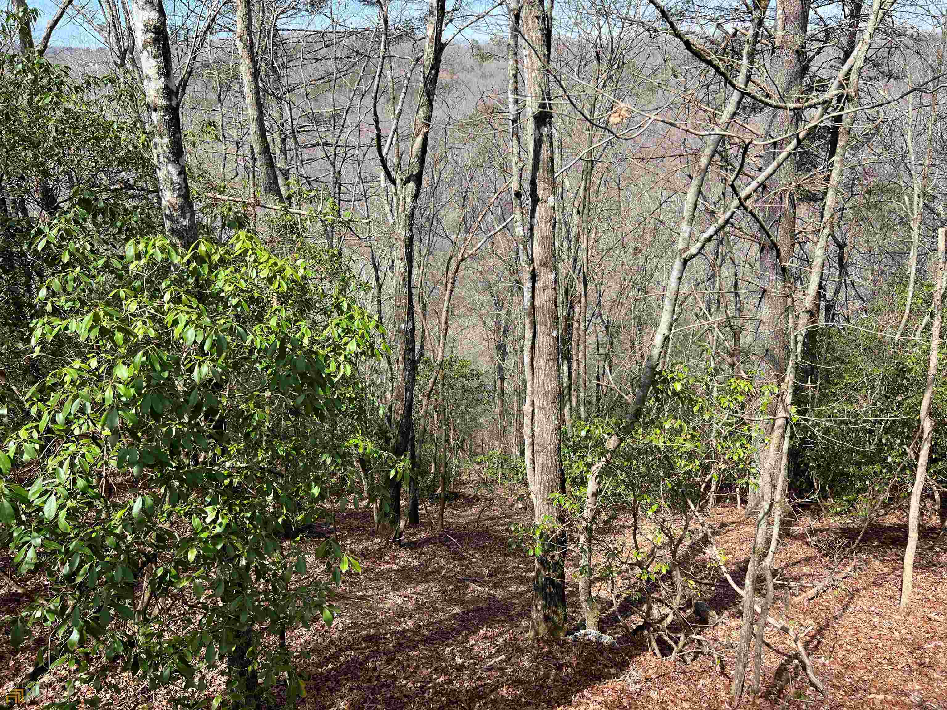 residential lot for sale at 0 Cross Creek Road, Mineral Bluff, GA 30559 — photo 4