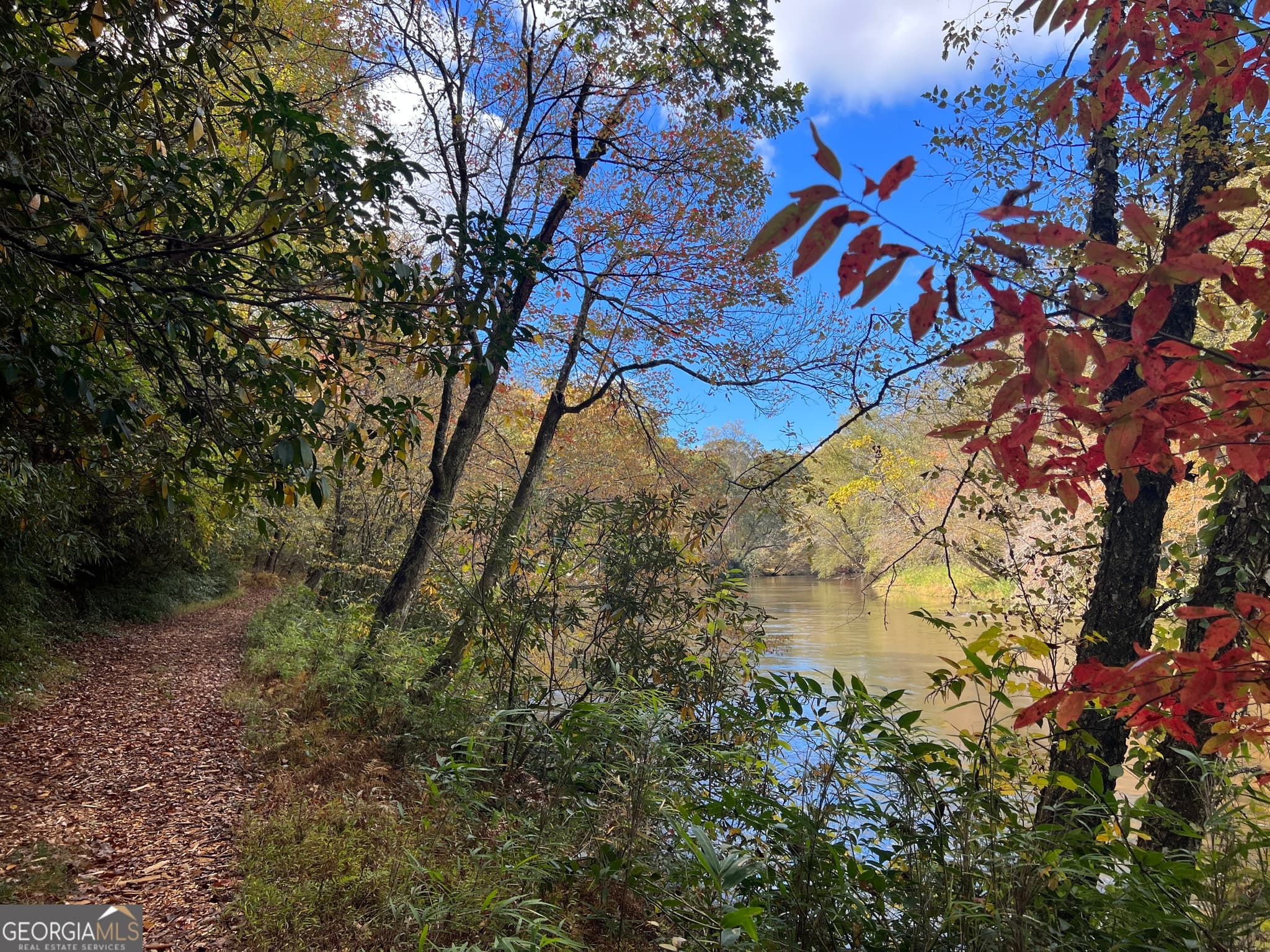 residential lot for sale at 0 Cross Creek Road, Mineral Bluff, GA 30559 — photo 8