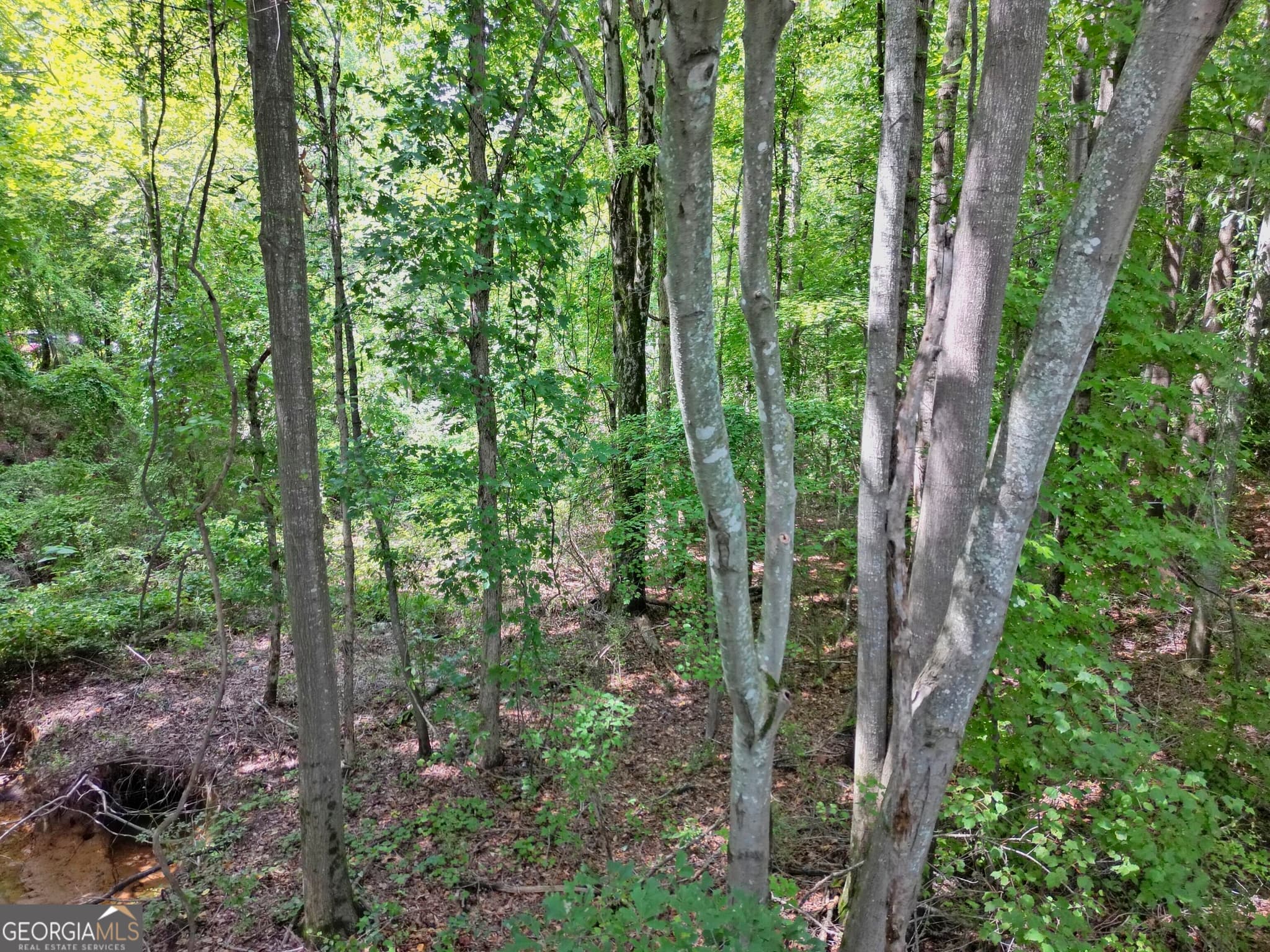 commercial for sale at 2095 SIGMAN Road, Conyers, GA 30012 — photo 6