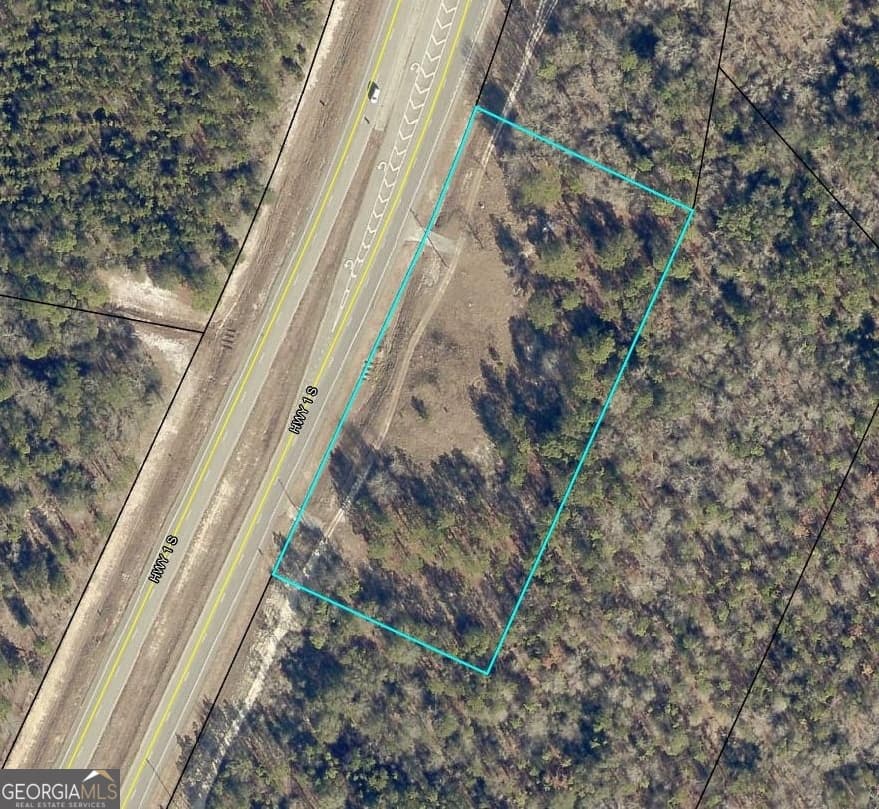 residential lot for sale at 0 S Highway 1, Twin City, GA 30471 — photo 2