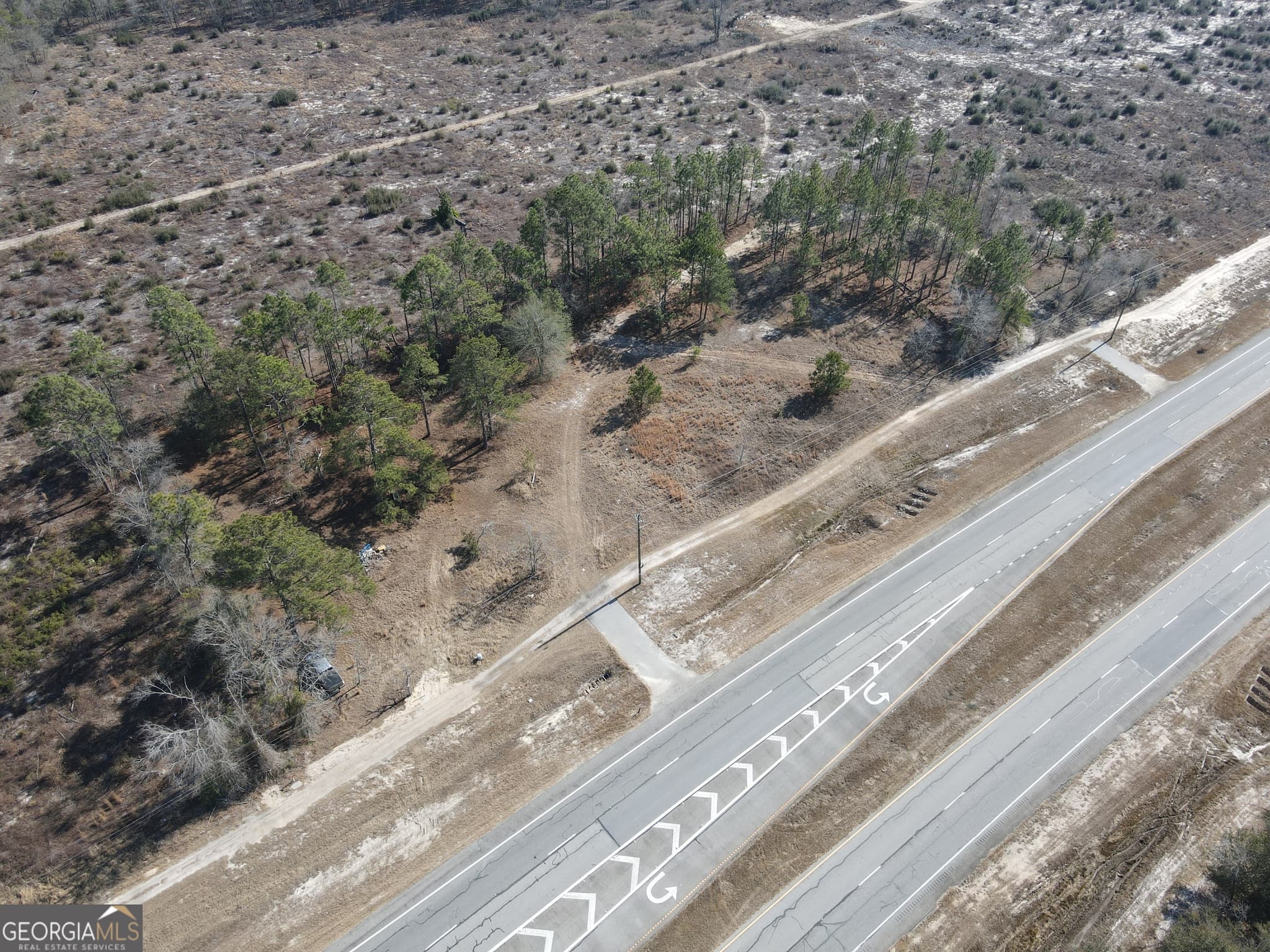 residential lot for sale at 0 S Highway 1, Twin City, GA 30471 — photo 3