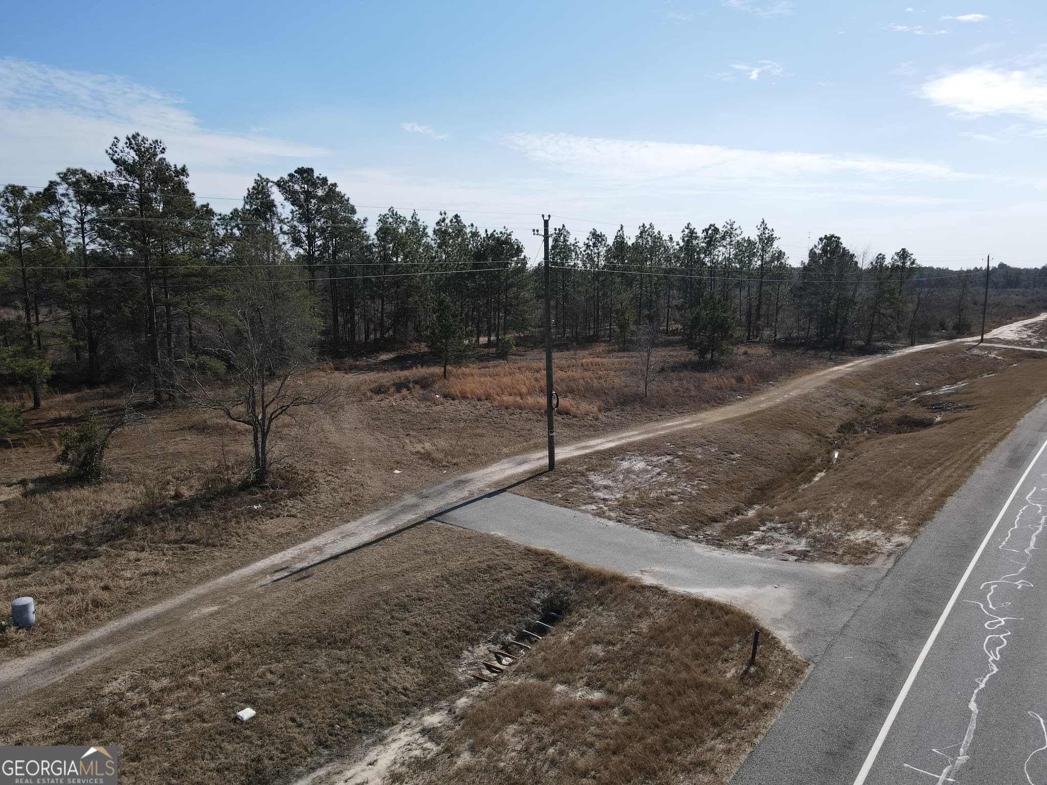 residential lot for sale at 0 S Highway 1, Twin City, GA 30471 — photo 4