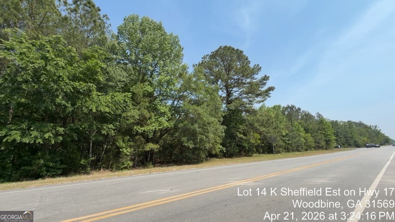 agriculture for sale at LOT 14 K Sheffield Est on Hwy 17, Woodbine, GA 31569 — photo 2