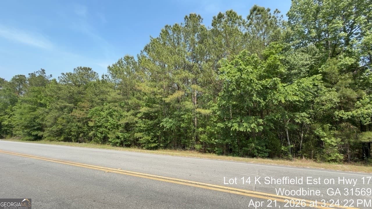 agriculture for sale at LOT 14 K Sheffield Est on Hwy 17, Woodbine, GA 31569 — photo 3