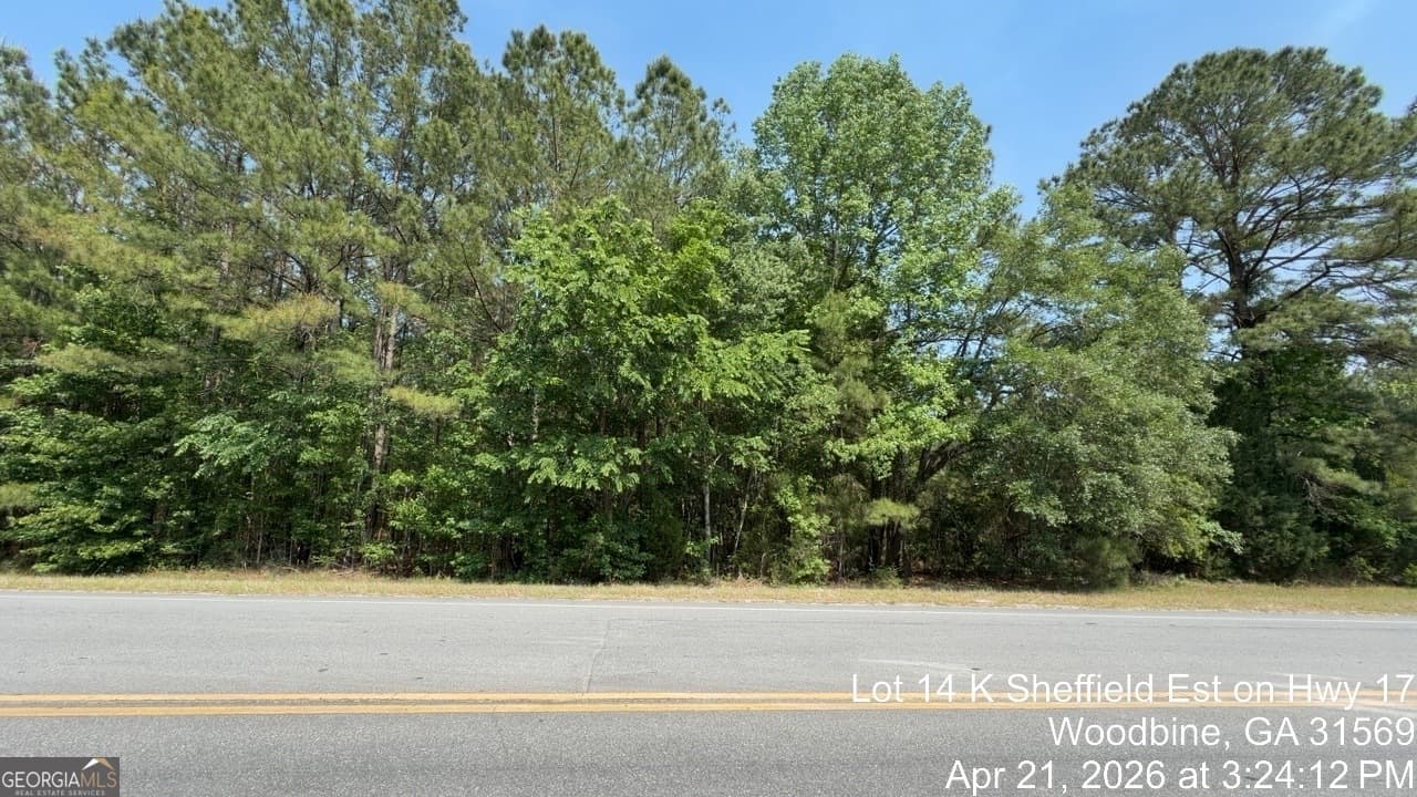agriculture for sale at LOT 14 K Sheffield Est on Hwy 17, Woodbine, GA 31569