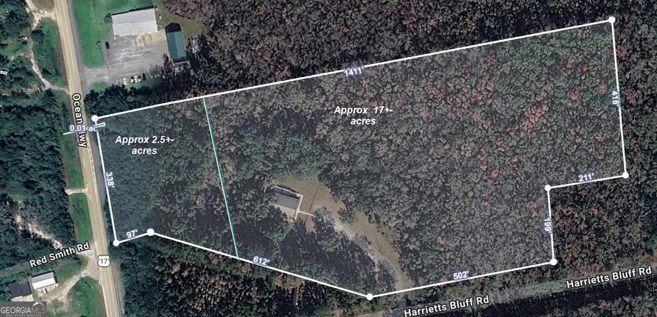 agriculture for sale at LOT 14 K Sheffield Est on Hwy 17, Woodbine, GA 31569 — photo 4