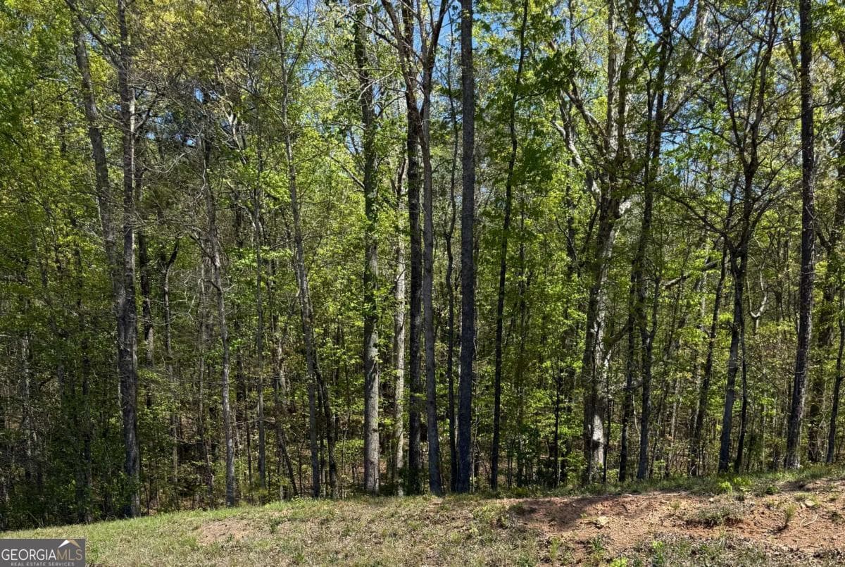 unimproved land for sale at 0 US HWY 27, Bremen, GA 30110 — photo 2