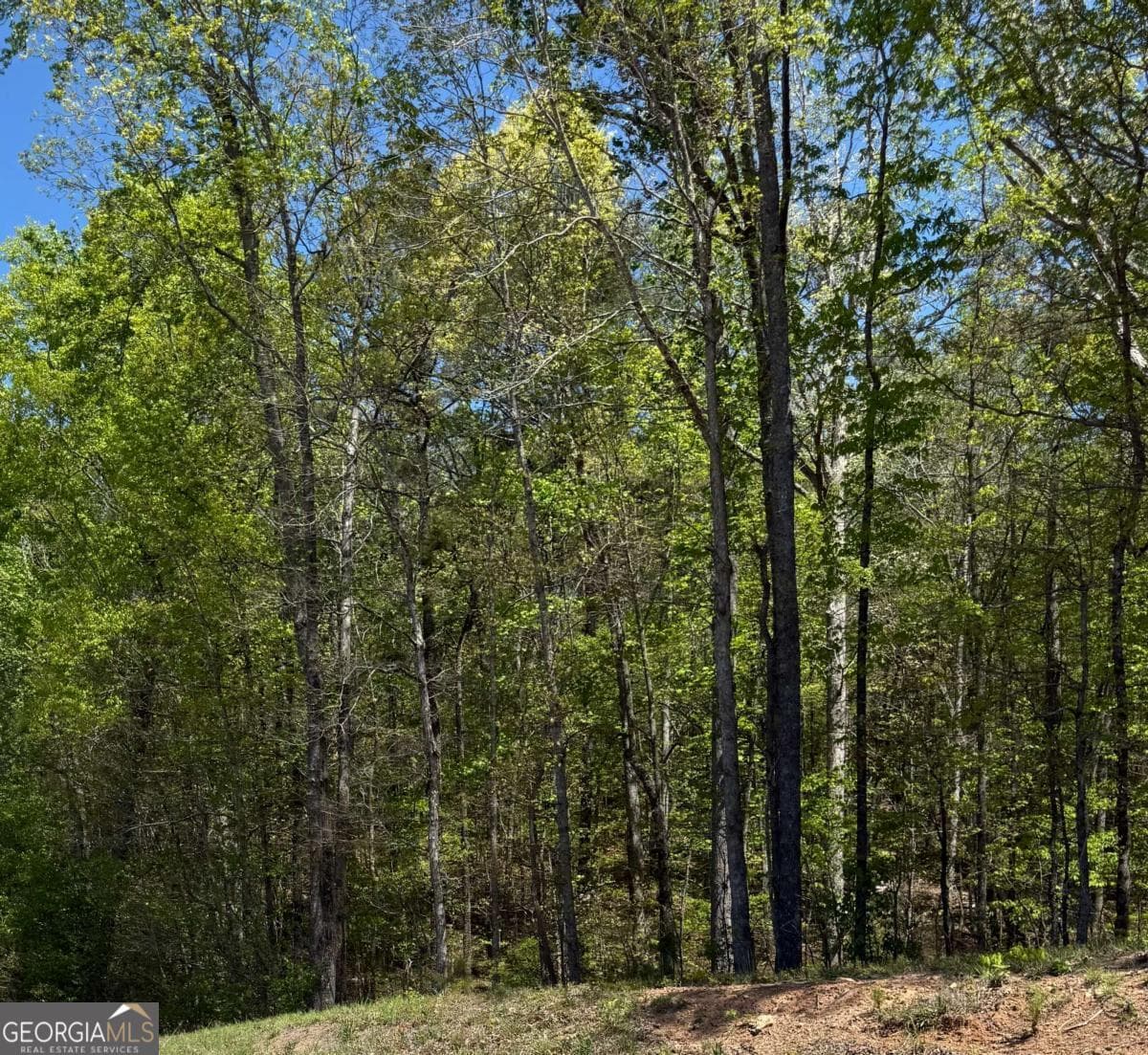 unimproved land for sale at 0 US HWY 27, Bremen, GA 30110 — photo 3