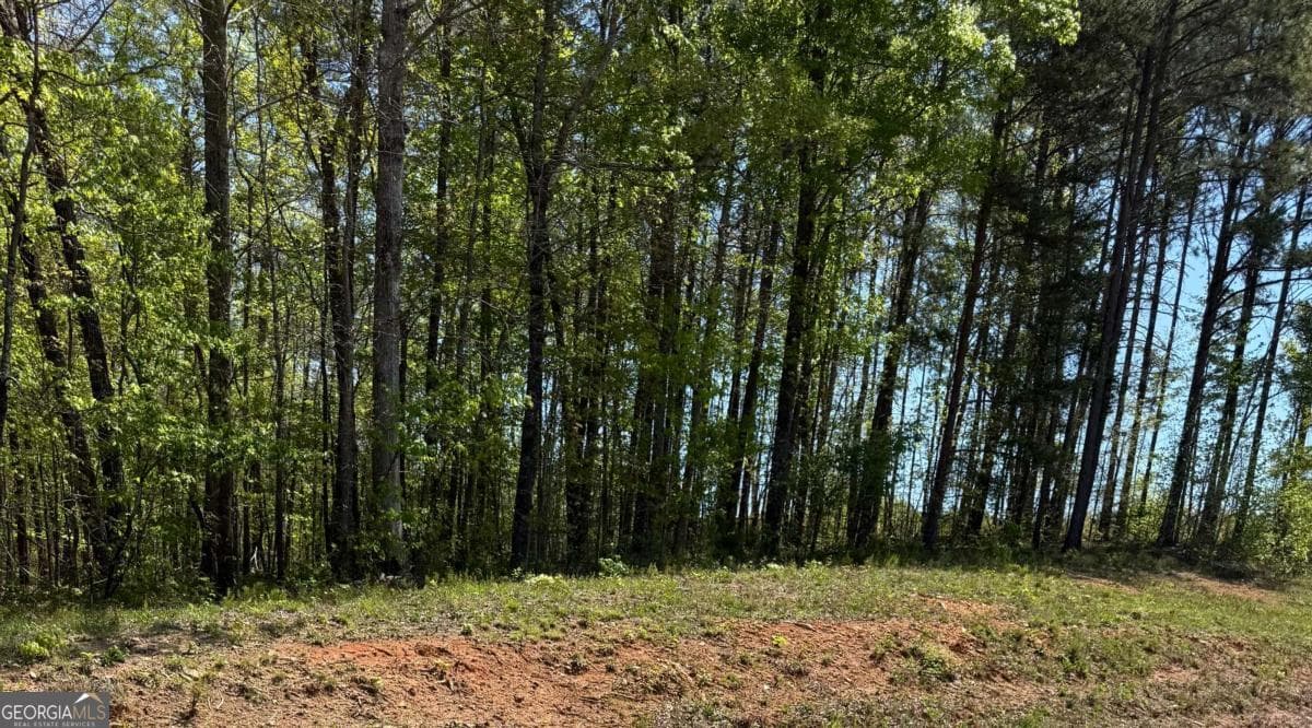 unimproved land for sale at 0 US HWY 27, Bremen, GA 30110 — photo 1 of 3