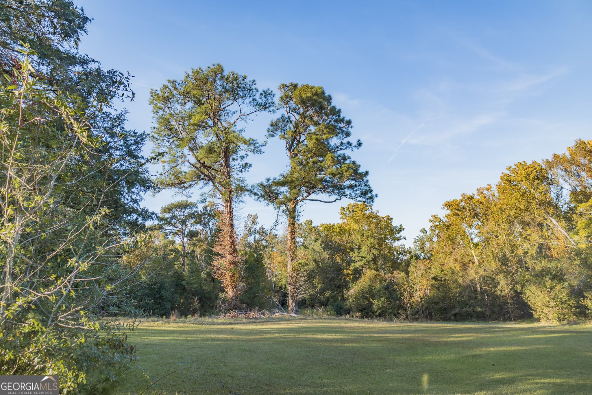 3 bedroom, 2 bathroom, 1,812 sq ft single family residence for sale at 341 Azalea Avenue, Millen, GA 30442 — photo 3
