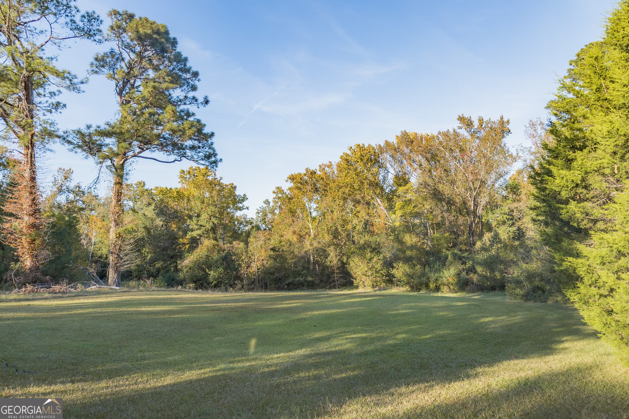 3 bedroom, 2 bathroom, 1,812 sq ft single family residence for sale at 341 Azalea Avenue, Millen, GA 30442 — photo 4
