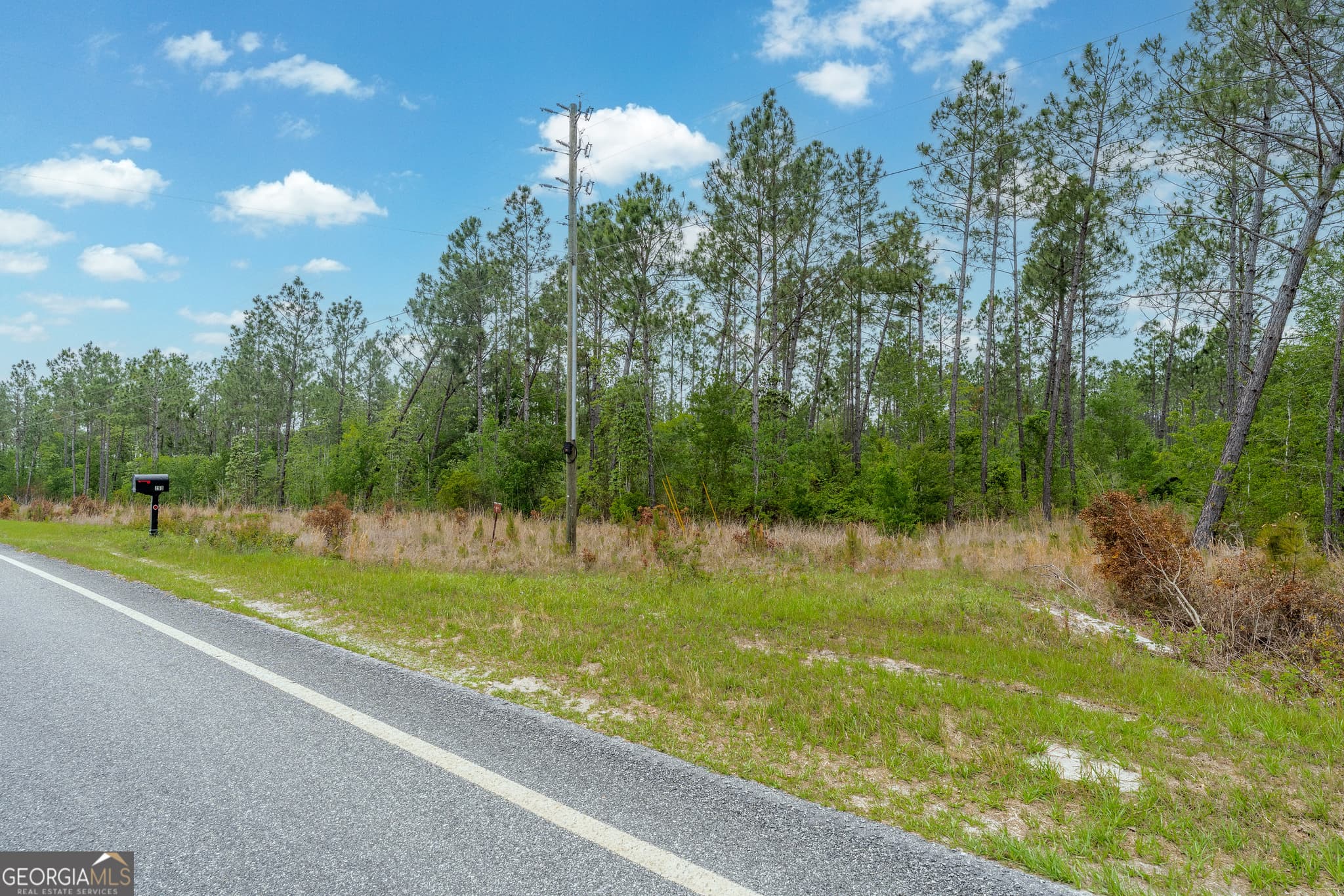 unimproved land for sale at 110 Lees Chapel Road, Nicholls, GA 31554 — photo 6