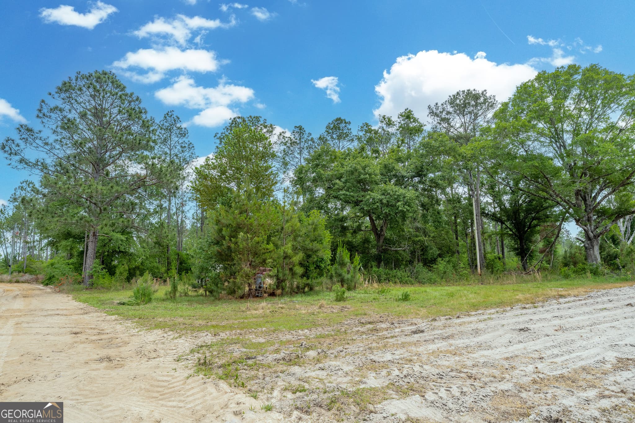 unimproved land for sale at 110 Lees Chapel Road, Nicholls, GA 31554 — photo 7