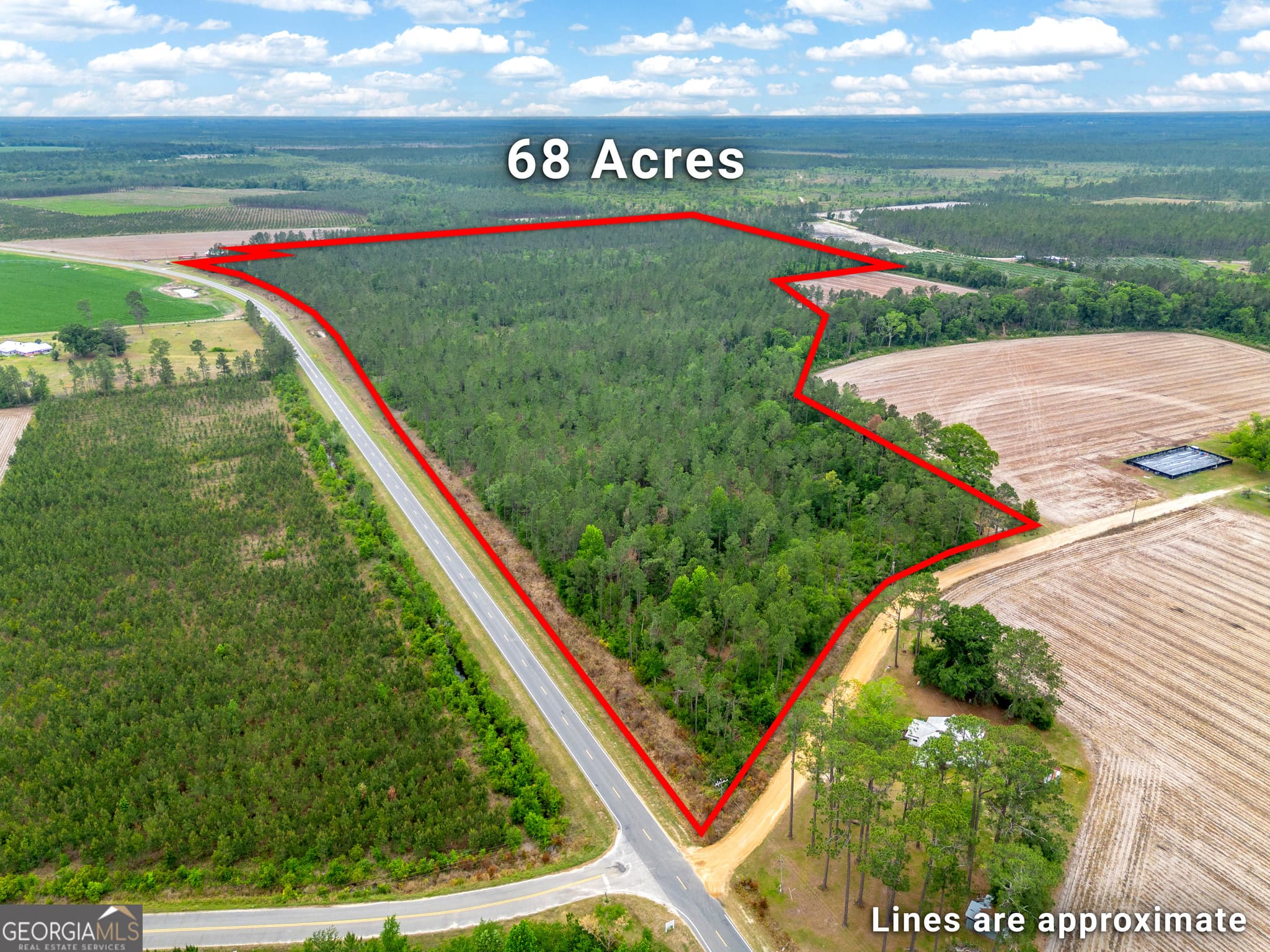 unimproved land for sale at 110 Lees Chapel Road, Nicholls, GA 31554 — photo 3