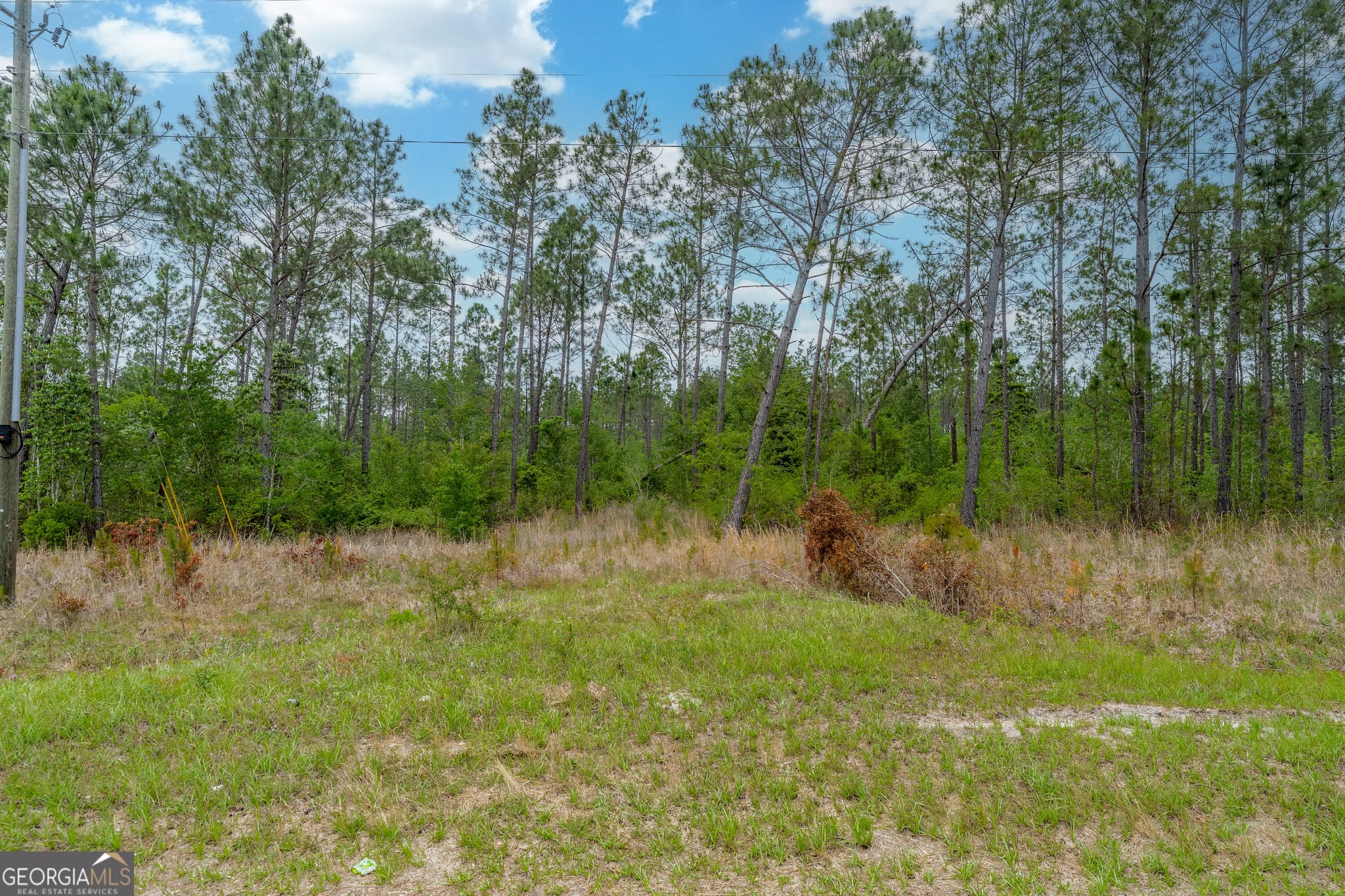 unimproved land for sale at 110 Lees Chapel Road, Nicholls, GA 31554 — photo 5