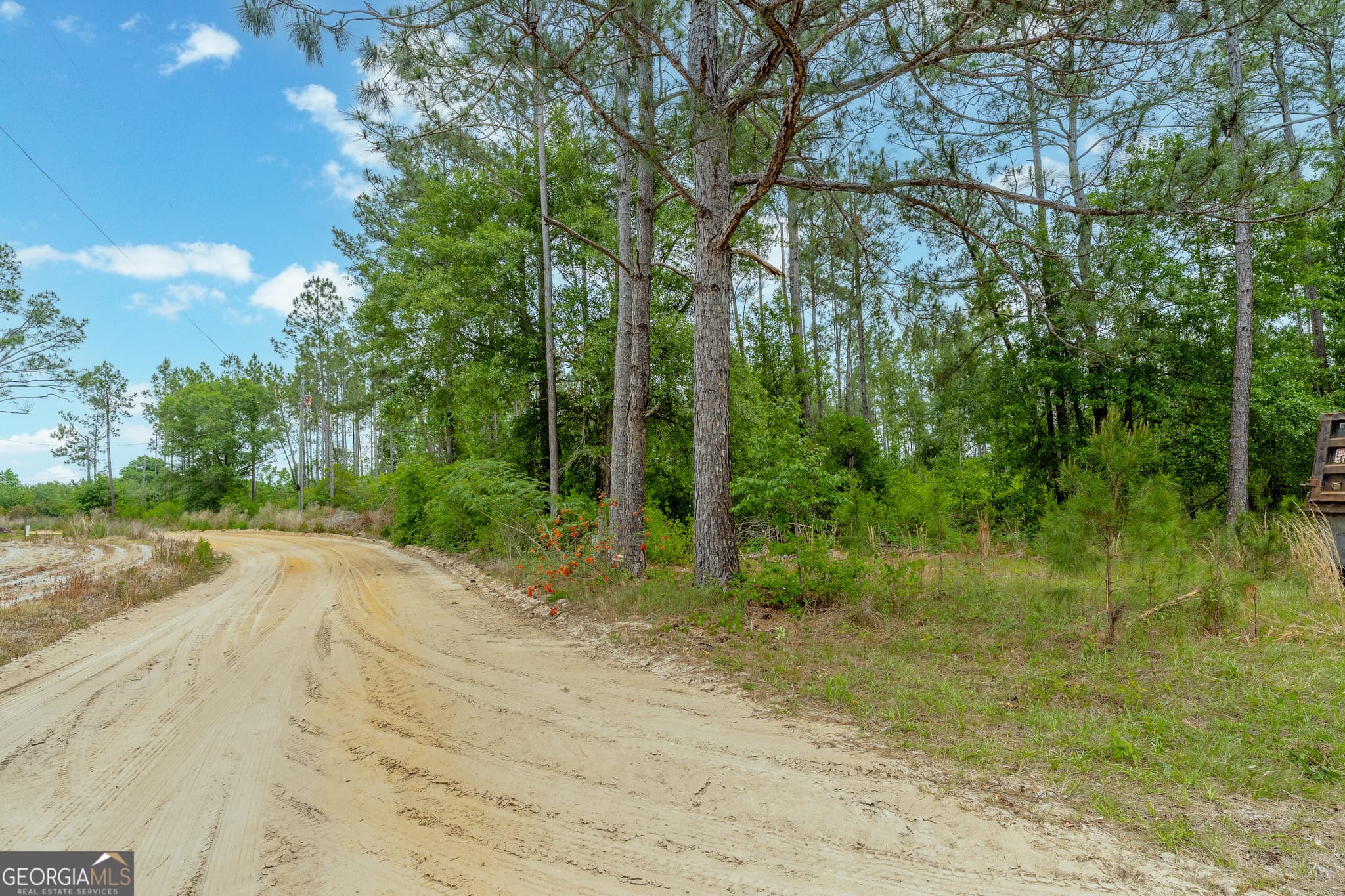 unimproved land for sale at 110 Lees Chapel Road, Nicholls, GA 31554 — photo 9