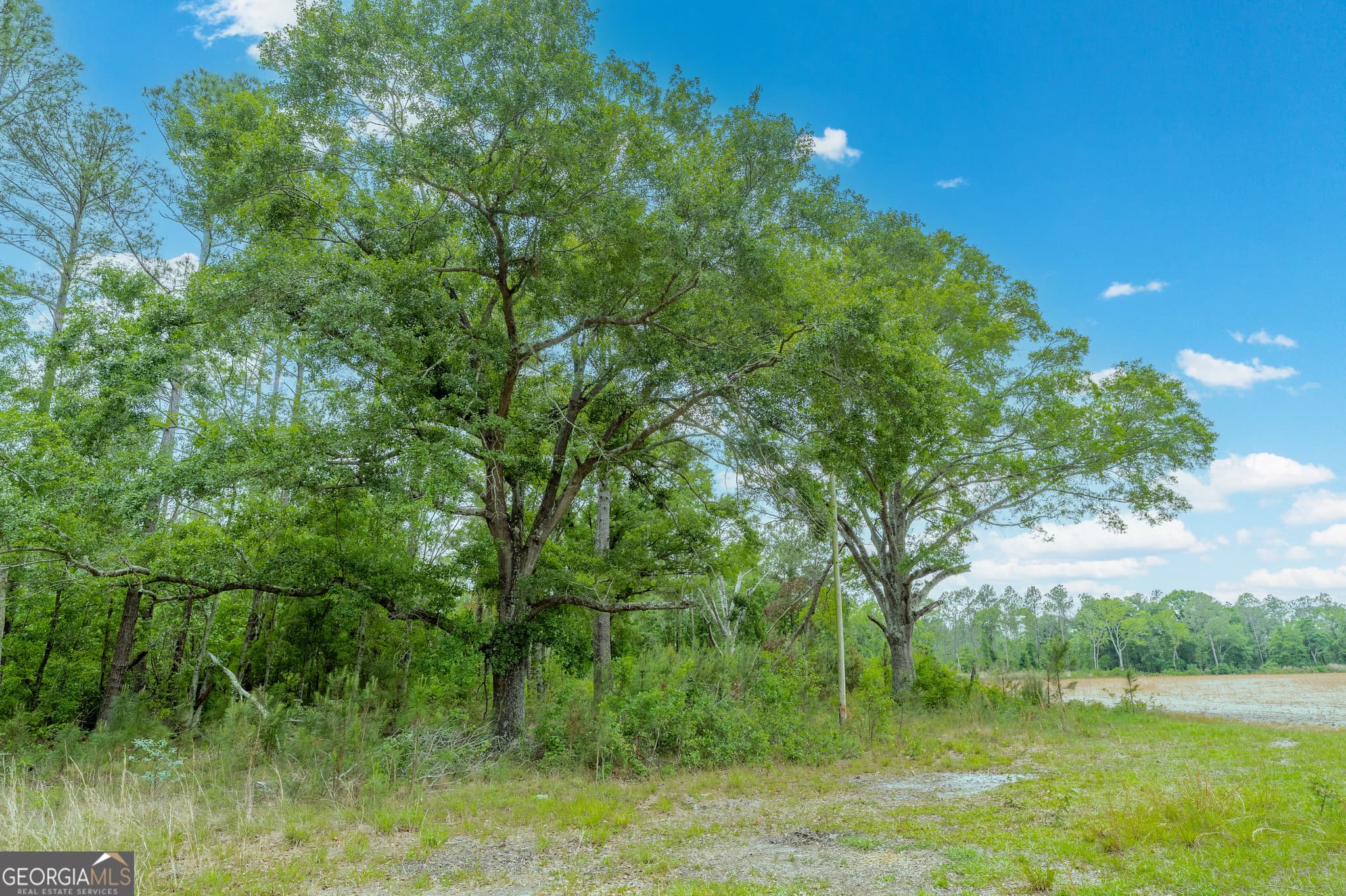 unimproved land for sale at 110 Lees Chapel Road, Nicholls, GA 31554 — photo 10