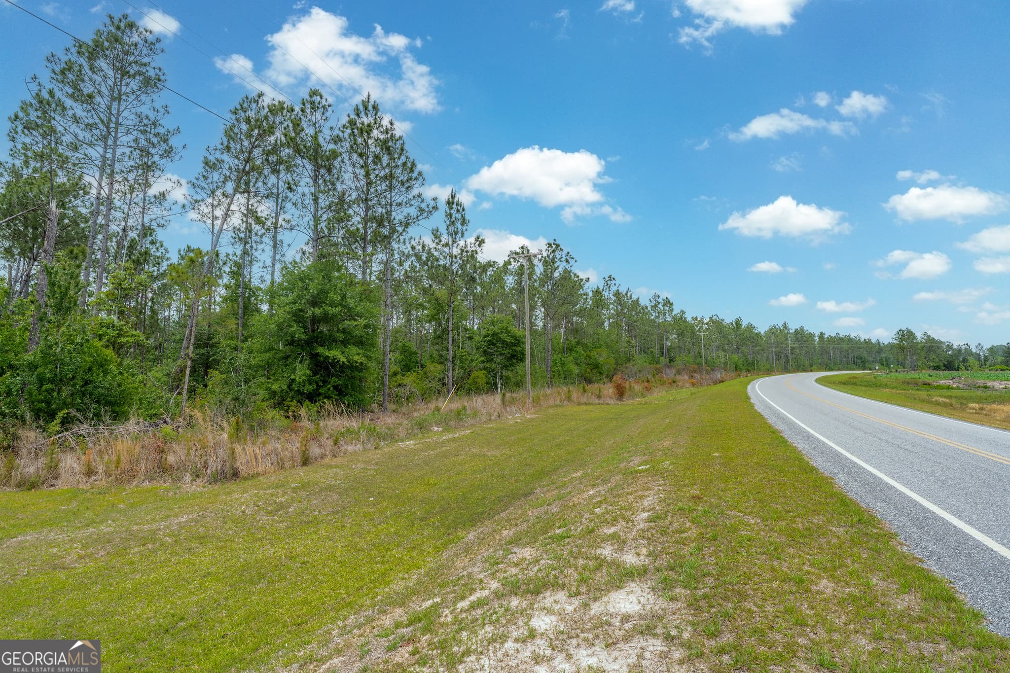 unimproved land for sale at 110 Lees Chapel Road, Nicholls, GA 31554 — photo 4