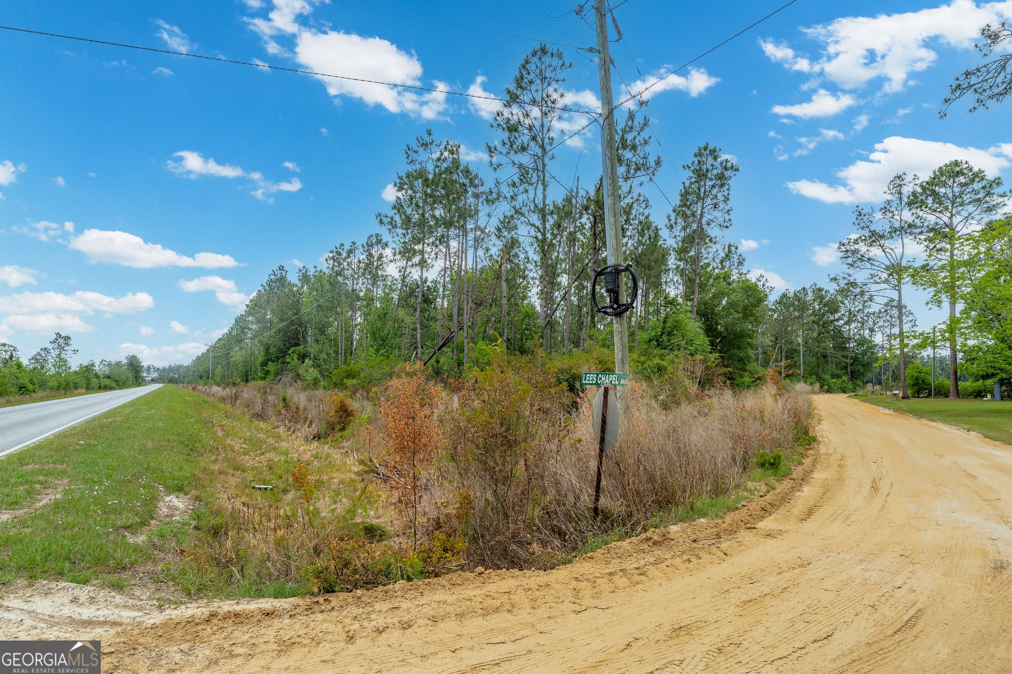 unimproved land for sale at 110 Lees Chapel Road, Nicholls, GA 31554 — photo 8