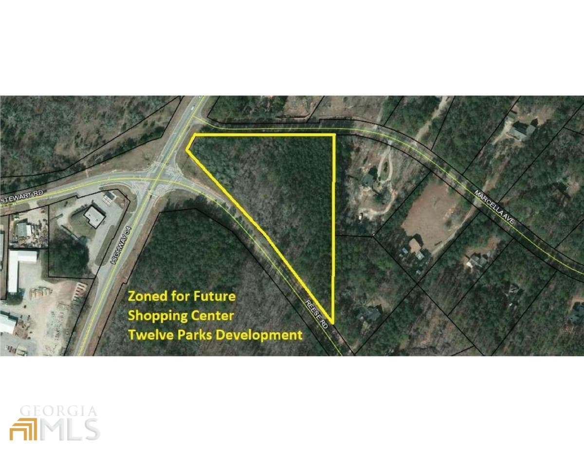 unimproved land for sale at 0 Highway 54, Sharpsburg, GA 30277 — photo 1 of 2