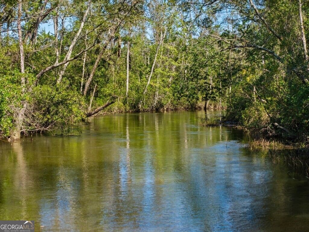 unimproved land for sale at 1 W State Route 90 Road WHITEWATER FARM, Ideal, GA 31041 — photo 2