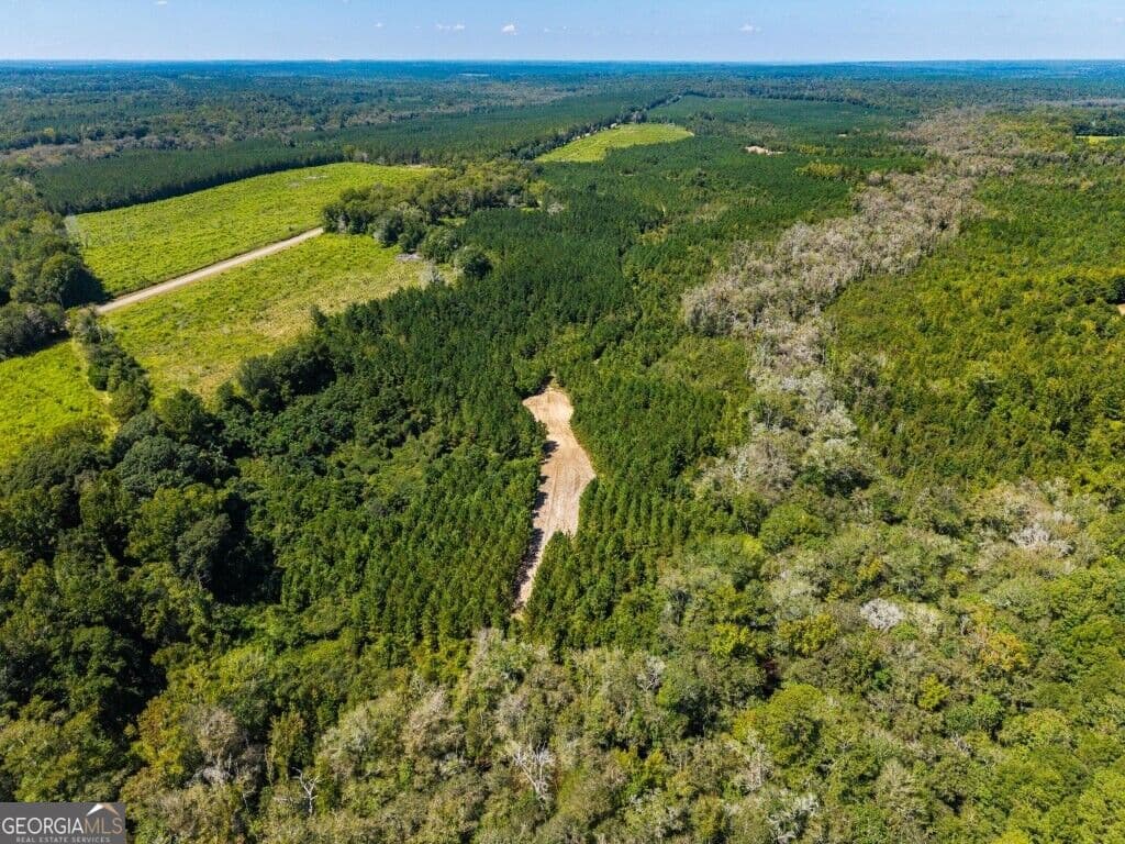 unimproved land for sale at 1 W State Route 90 Road WHITEWATER FARM, Ideal, GA 31041 — photo 9