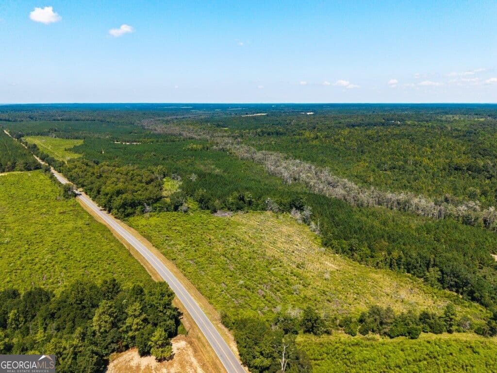 unimproved land for sale at 1 W State Route 90 Road WHITEWATER FARM, Ideal, GA 31041 — photo 10