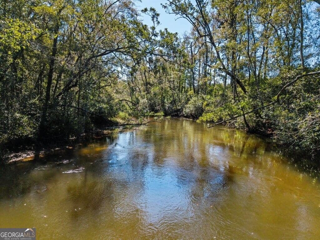 unimproved land for sale at 1 W State Route 90 Road WHITEWATER FARM, Ideal, GA 31041 — photo 4