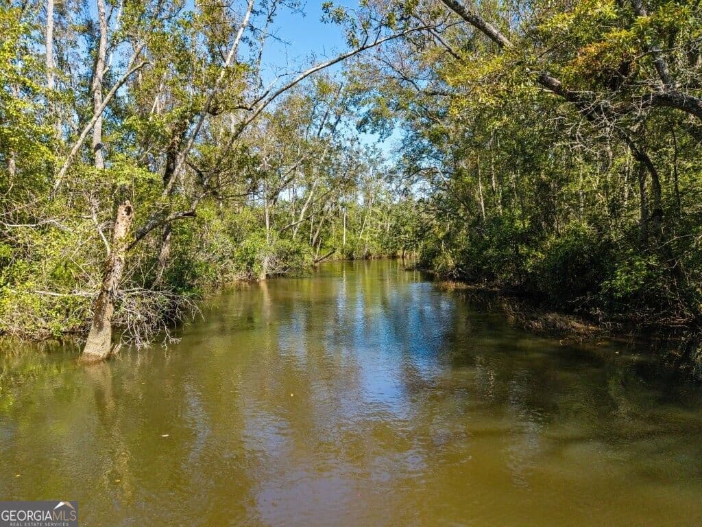 unimproved land for sale at 1 W State Route 90 Road WHITEWATER FARM, Ideal, GA 31041 — photo 8
