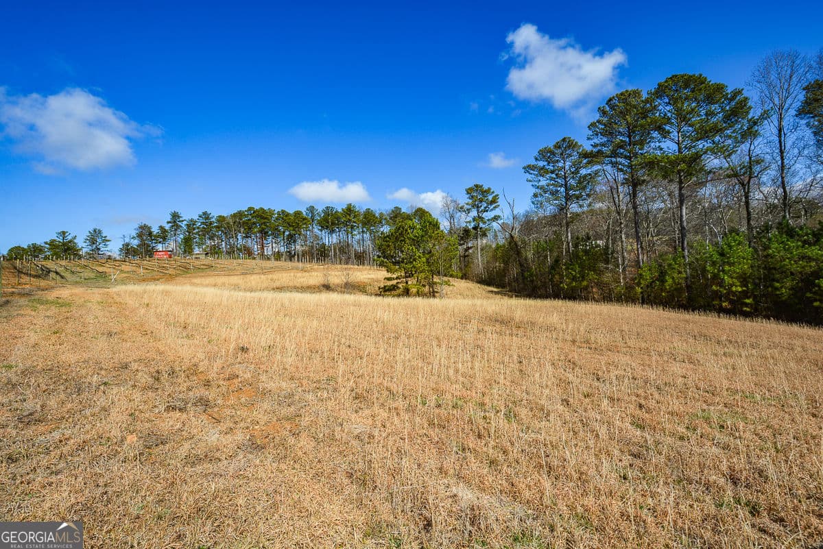 1 bedroom, 2.5 bathroom, 3,348 sq ft single family residence for sale at 119 Inland 2 Drive, Talking Rock, GA 30175 — photo 8