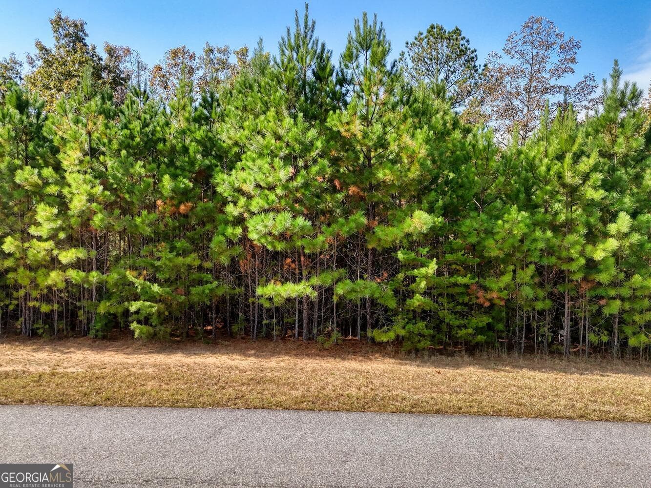 residential lot for sale at LOT 43 Northshore, Blairsville, GA 30512 — photo 7