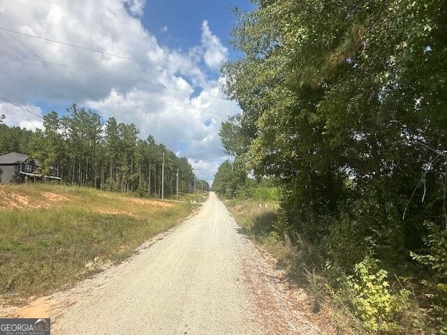 agriculture for sale at 0 Millen Road TRACT #22, Monticello, GA 31064 — photo 9