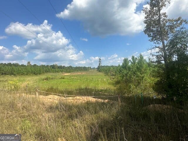 agriculture for sale at 0 Millen Road TRACT #22, Monticello, GA 31064 — photo 10