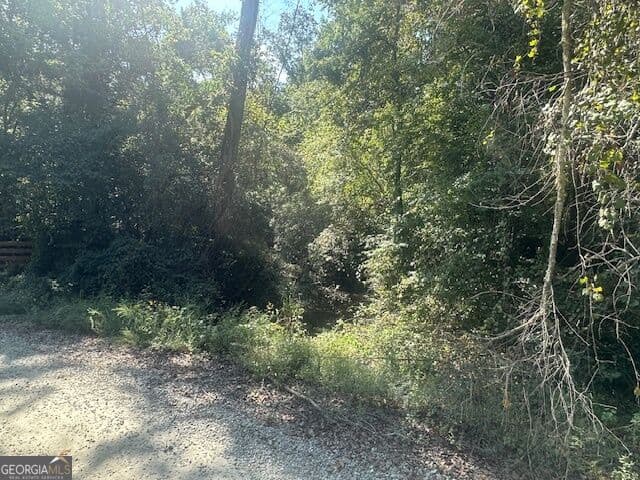agriculture for sale at 0 Millen Road TRACT #22, Monticello, GA 31064 — photo 4