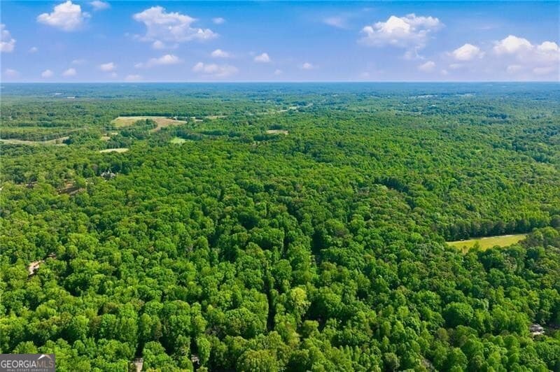 4 bedroom, 4.5 bathroom, 7,821 sq ft single family residence for sale at 4264 Joe Chandler Road, Gillsville, GA 30543 — photo 8