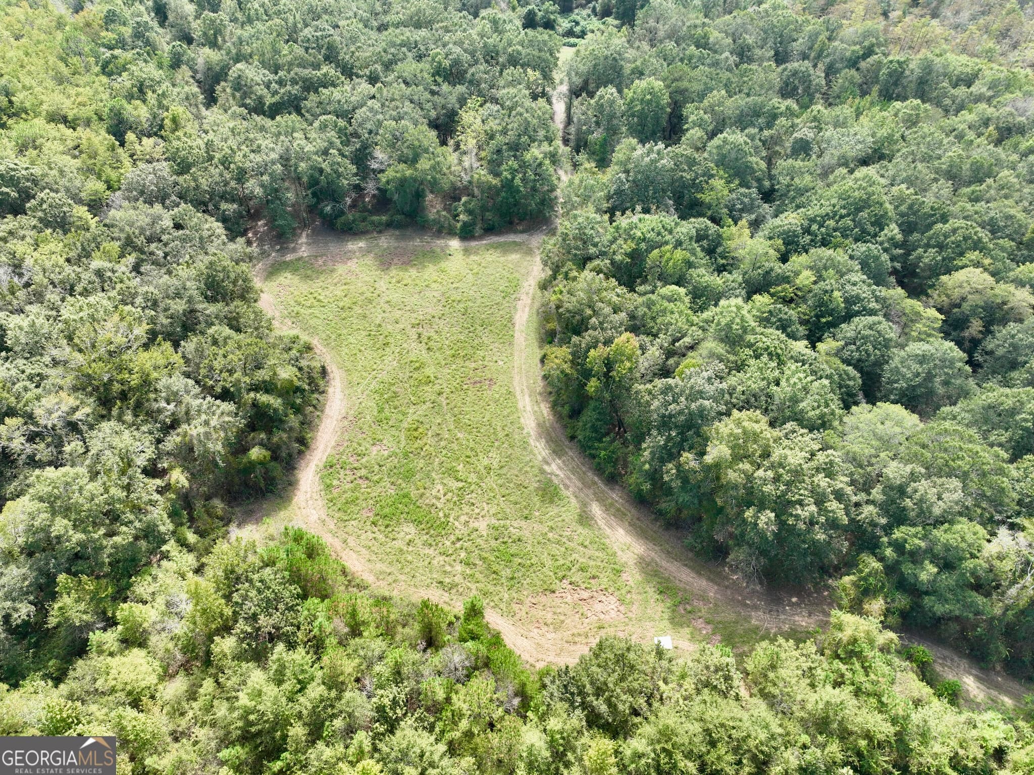 agriculture for sale at 0 Abbeville Highway, Pineview, GA 31071 — photo 2