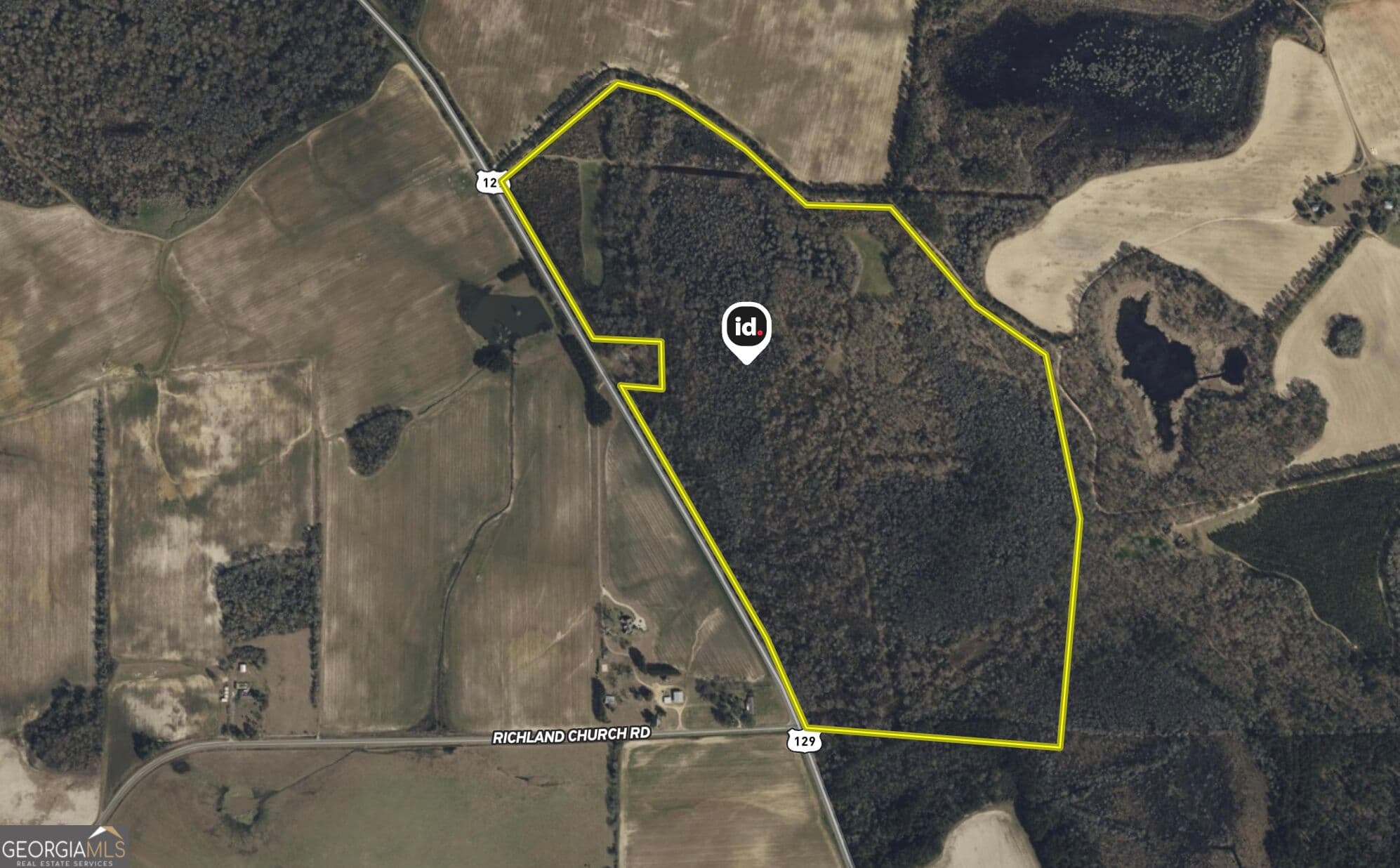 agriculture for sale at 0 Abbeville Highway, Pineview, GA 31071 — photo 6