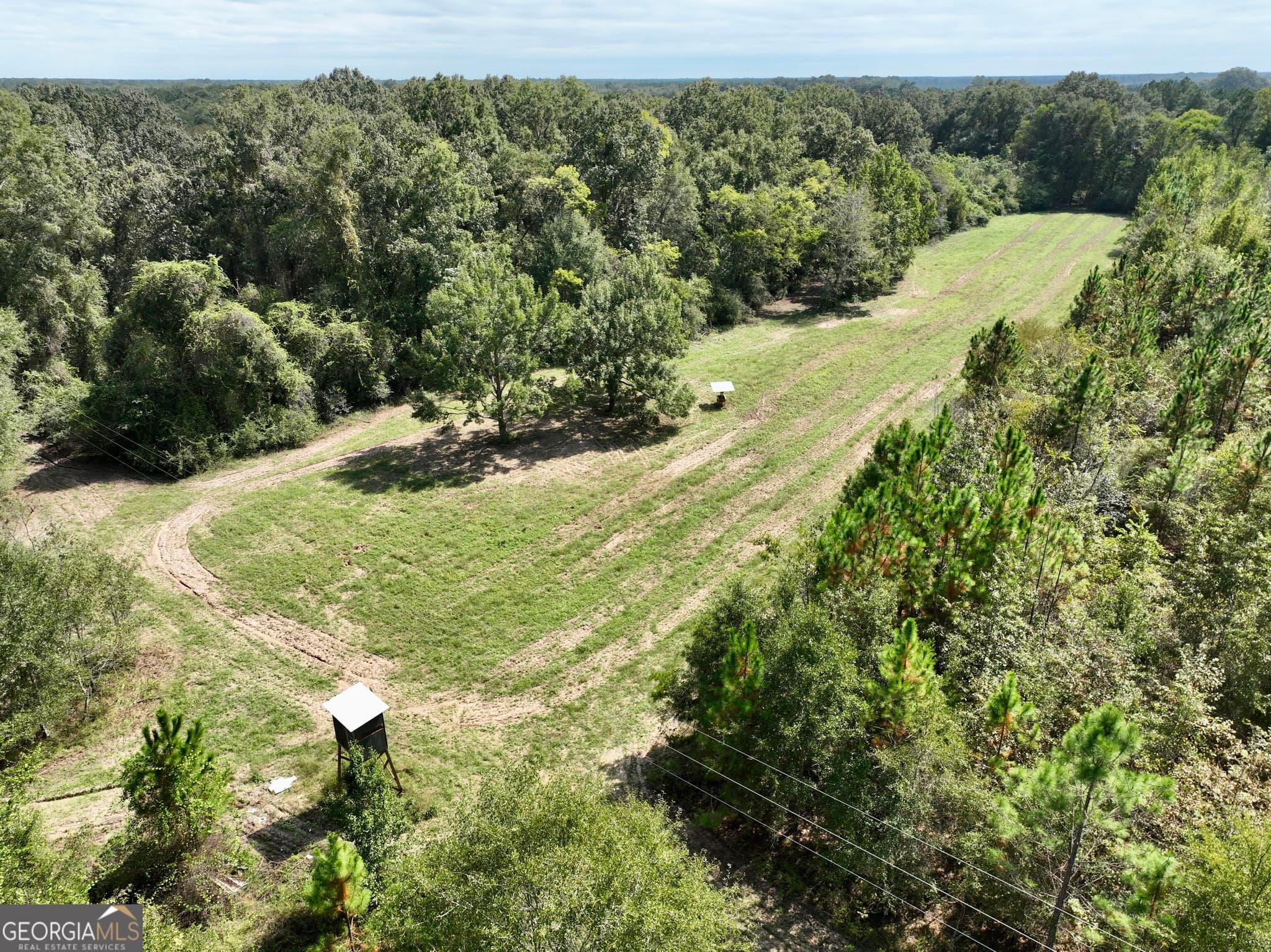 agriculture for sale at 0 Abbeville Highway, Pineview, GA 31071