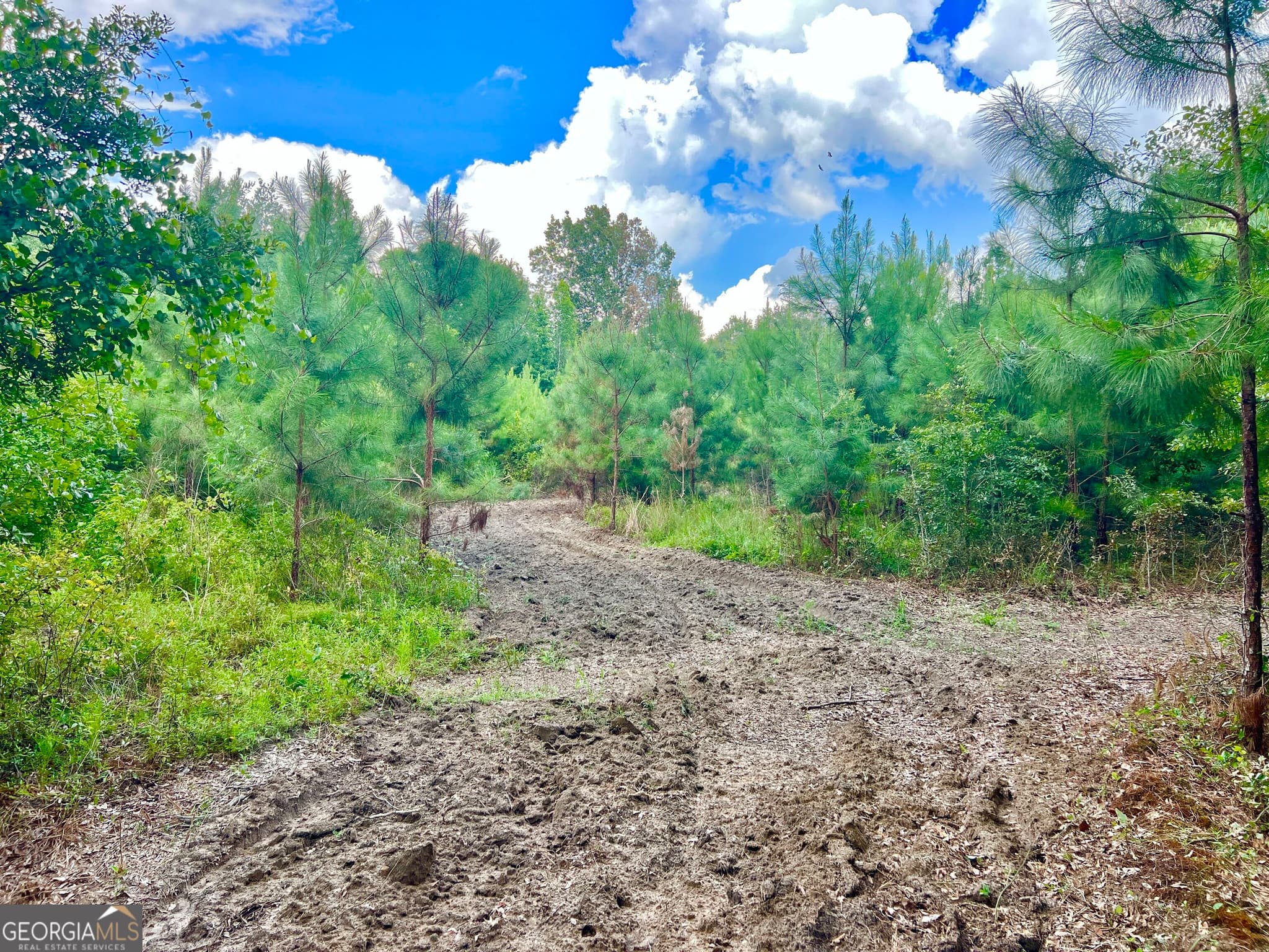 agriculture for sale at 0 Abbeville Highway, Pineview, GA 31071 — photo 9