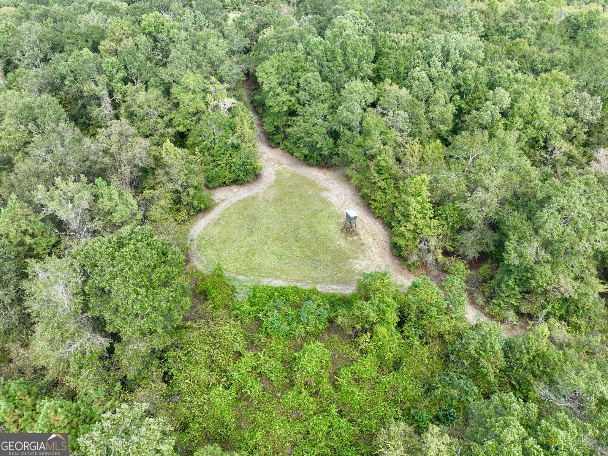 agriculture for sale at 0 Abbeville Highway, Pineview, GA 31071 — photo 4
