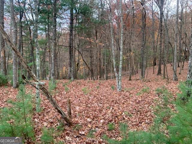 residential lot for sale at LOT 4 Courtney Lane, Blairsville, GA 30512 — photo 2