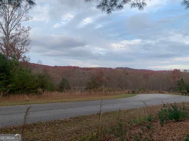 residential lot for sale at LOT 4 Courtney Lane, Blairsville, GA 30512 — photo 6