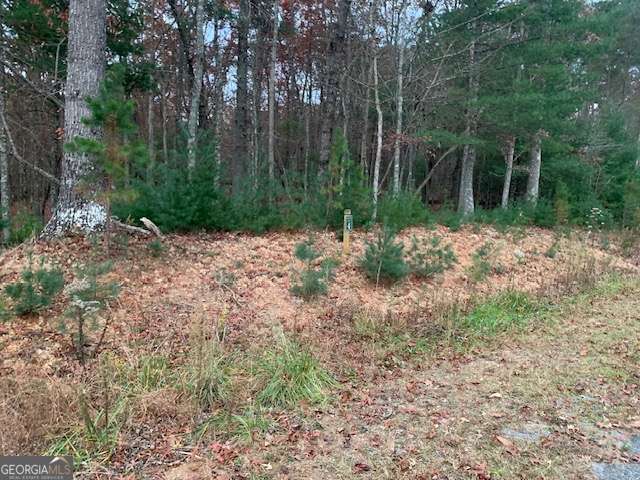 residential lot for sale at LOT 4 Courtney Lane, Blairsville, GA 30512 — photo 7