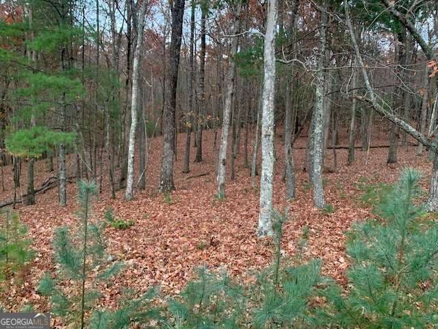 residential lot for sale at LOT 4 Courtney Lane, Blairsville, GA 30512 — photo 3