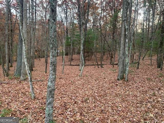 residential lot for sale at LOT 4 Courtney Lane, Blairsville, GA 30512 — photo 1 of 44