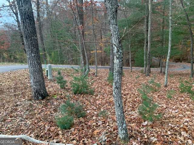 residential lot for sale at LOT 4 Courtney Lane, Blairsville, GA 30512 — photo 5
